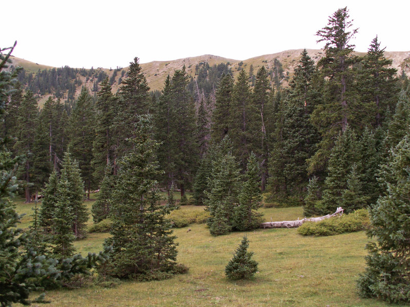 The upper meadow area at the top of the canyon.