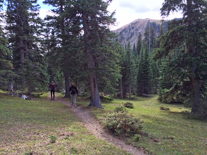 Hiking through the small meadows on the upper end of the canyon.