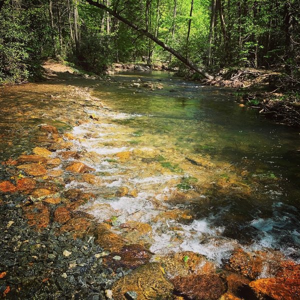 When the trail goes through the water... so do you! This was a gorgeous cut through a shallow creek.