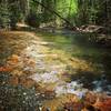 When the trail goes through the water... so do you! This was a gorgeous cut through a shallow creek.