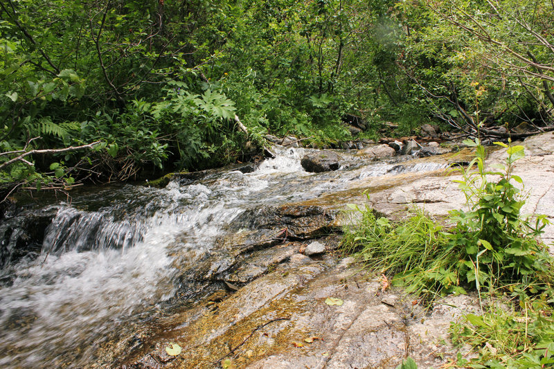 Italianos Canyon Creek