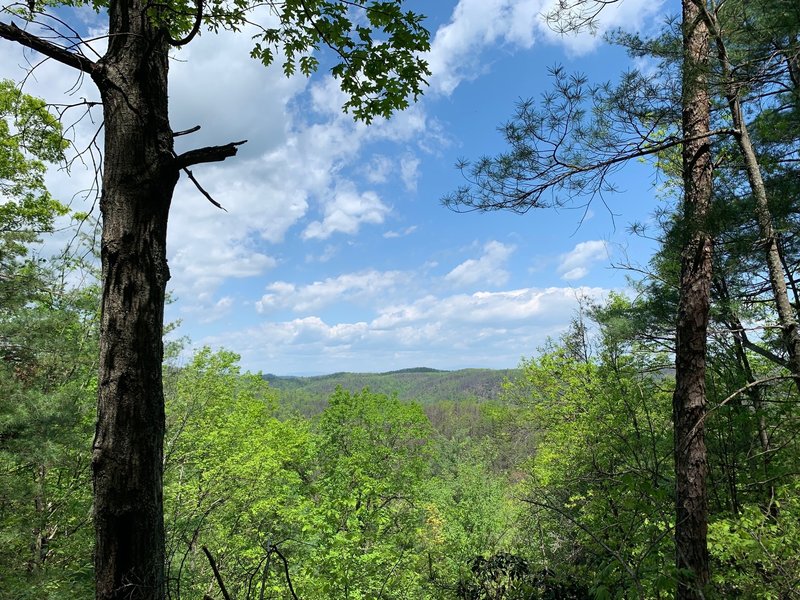 Lookout just North of the HQ trail intersection