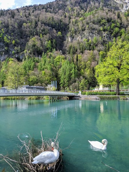 River-walk in Interlaken