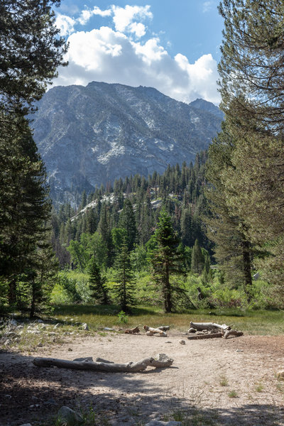 A camp site near Junction Meadow.