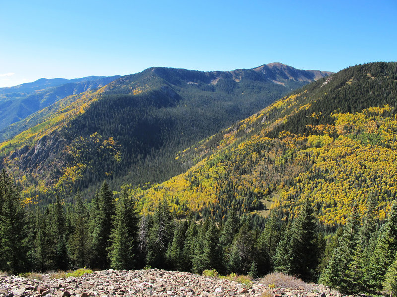 View looking up Long Canyon from the Wheeler Peak Trail/Bull of the Woods Trail.