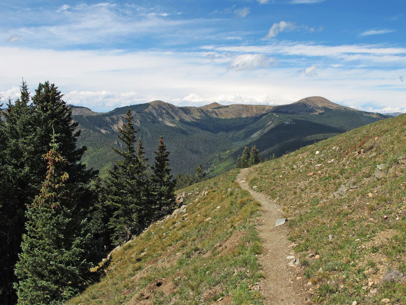 Great views of Gold Hill and Long Canyon from the Wheeler Peak Trail.