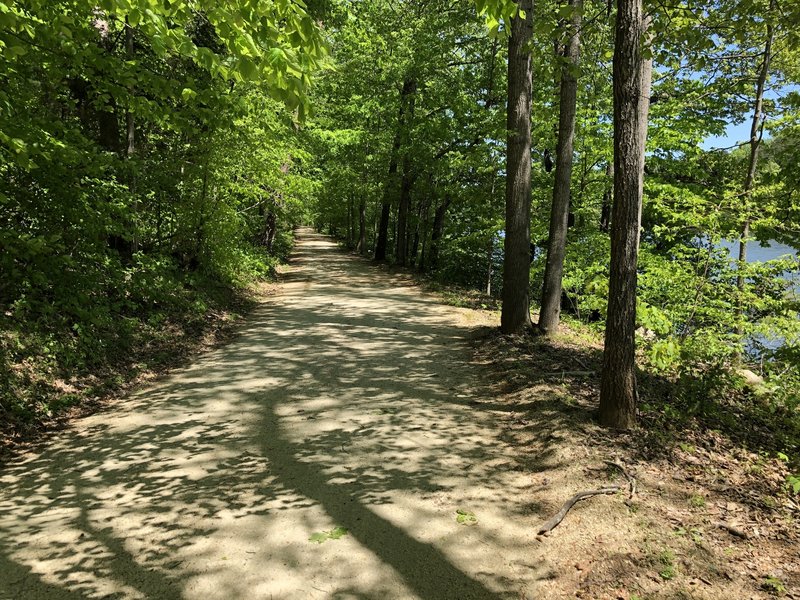 The trail surface is hard packed dirt and light gravel. Even after heavy rain the day before it was dry and runnable.