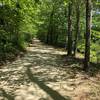 The trail surface is hard packed dirt and light gravel. Even after heavy rain the day before it was dry and runnable.