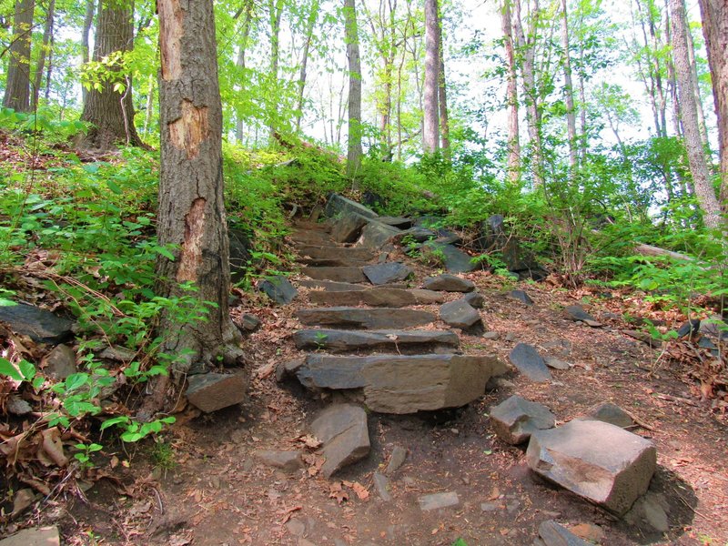 Stone steps along Union Dam Trail.