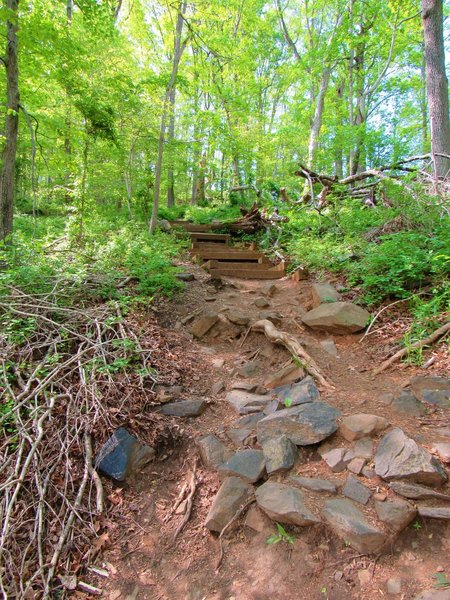 Stairs and rocky descent along Union Dam Trail