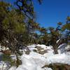 Great hike, even in the snow!