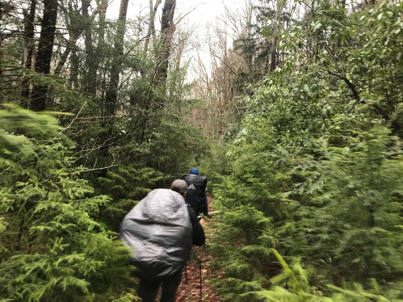 Buddies hiking the Big Beechy