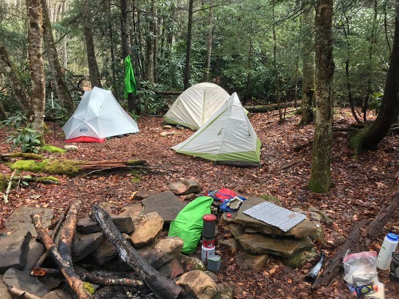 Campsite along Middle Forth