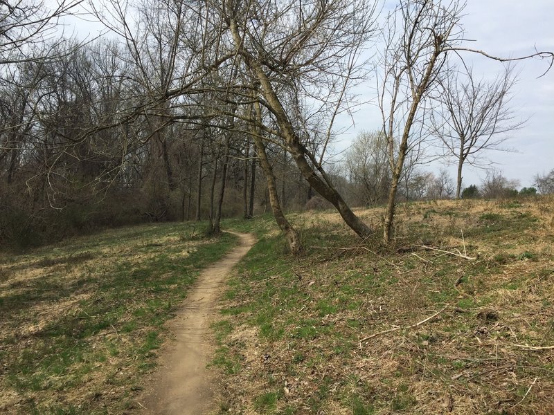 A fiew of the whitely farm loop