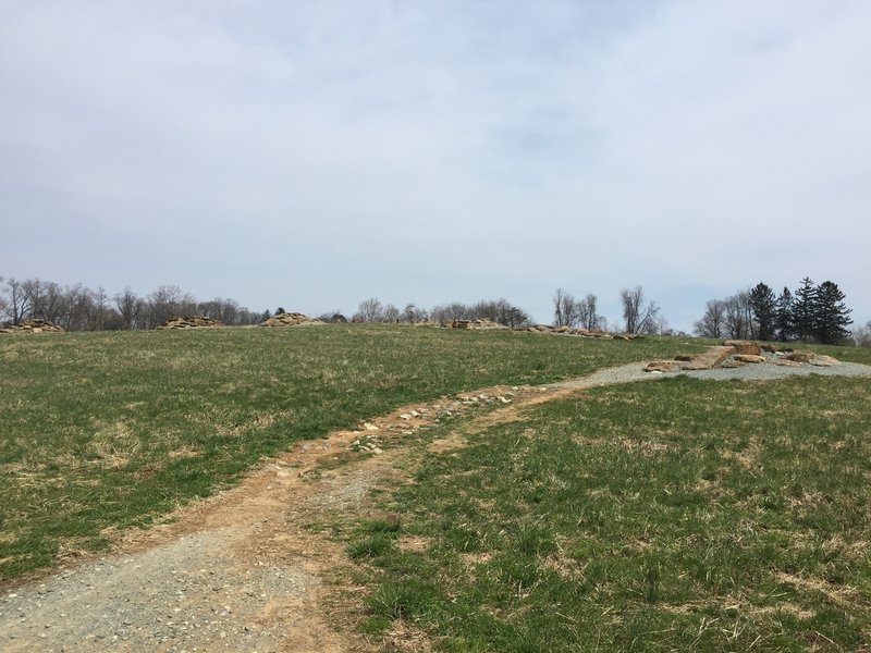 Mountain-biking obstacles on the lenape trail