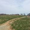 Mountain-biking obstacles on the lenape trail