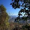 Mount McLoughlin from Tin Pan Peak