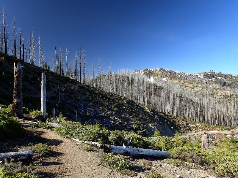 Looking south from the Babyfoot Lake Trailhead