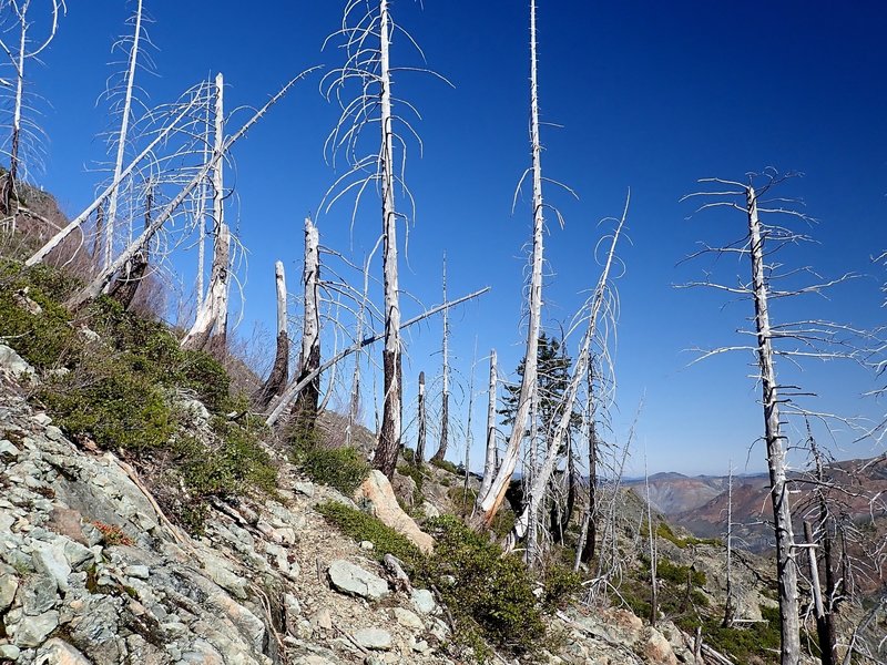 Climbing to the saddle west of Hungry Hill