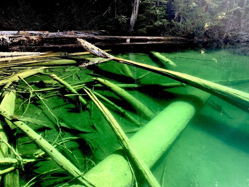 green lake - exquisitely transparent