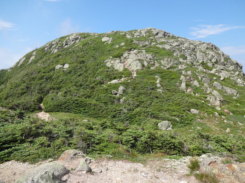 Looking up at Mt. Eisenhower from Edmands Path. A short but steep climb up Eisenhower loop to the top.