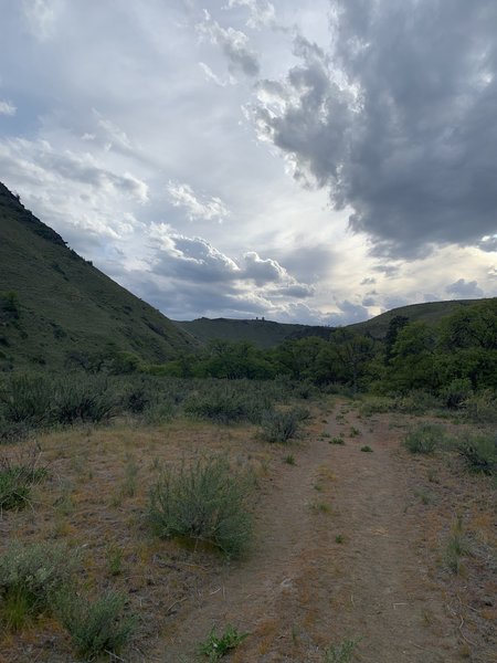 Picture taken on the trail off to the left of the main trailhead.