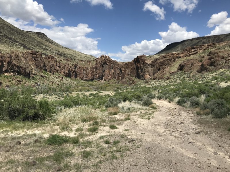 Narrow cliffs where Bruneau Canyon slots up for a bit