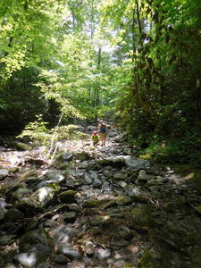 Rock garden