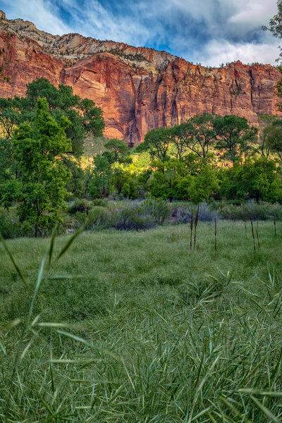 Deertrap Mountain (behind the cliff band)