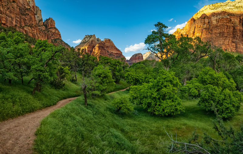 Sand Bench Trail (Mt. Zion/The Spearhead, Angels Landing in the distance)