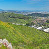 Goldfields and San Francisco Skyline