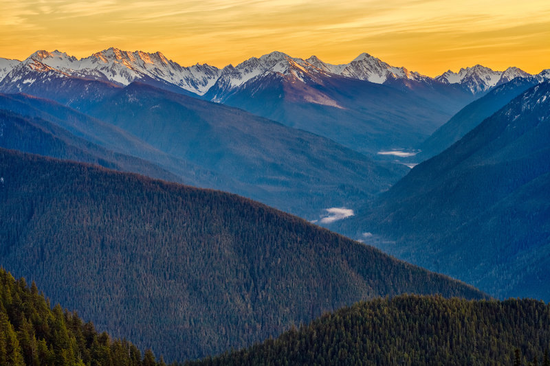 Bailey Range from Hurricane Ridge