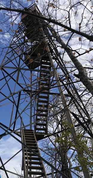 Shuckstack Fire Tower...a few more steps.  Spectacular view.