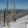 Clear views to Mt Adams on clear spring day