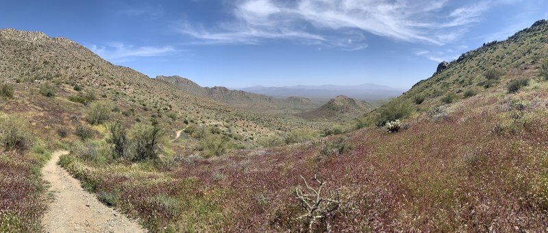 Looking east from just below Bell Pass