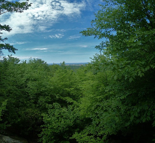 View from Eagle Rock in May