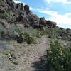 Looking east from the trail