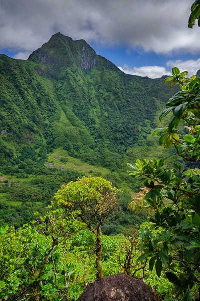 This is about as exposed as this hike gets