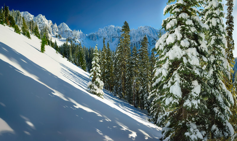 Fresh snow made for great views but extremely slow travel