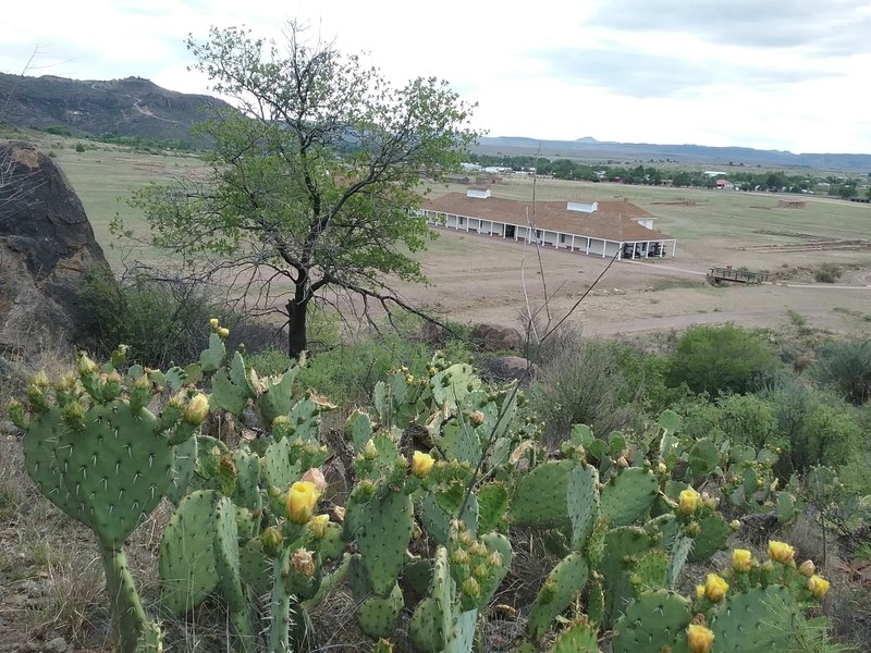 View of the visitor center