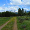 The views from the Bunsen Peak Road Trail don't disappoint.