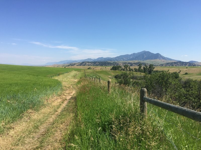 View of Bridgers.