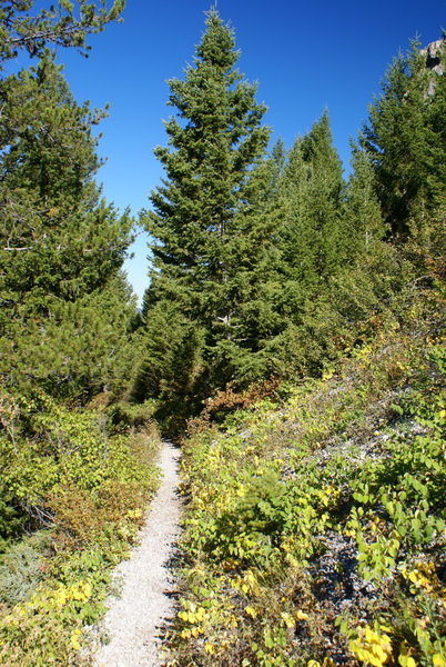 Garnet Mountain Lookout Trail (85). with permission from geogeek