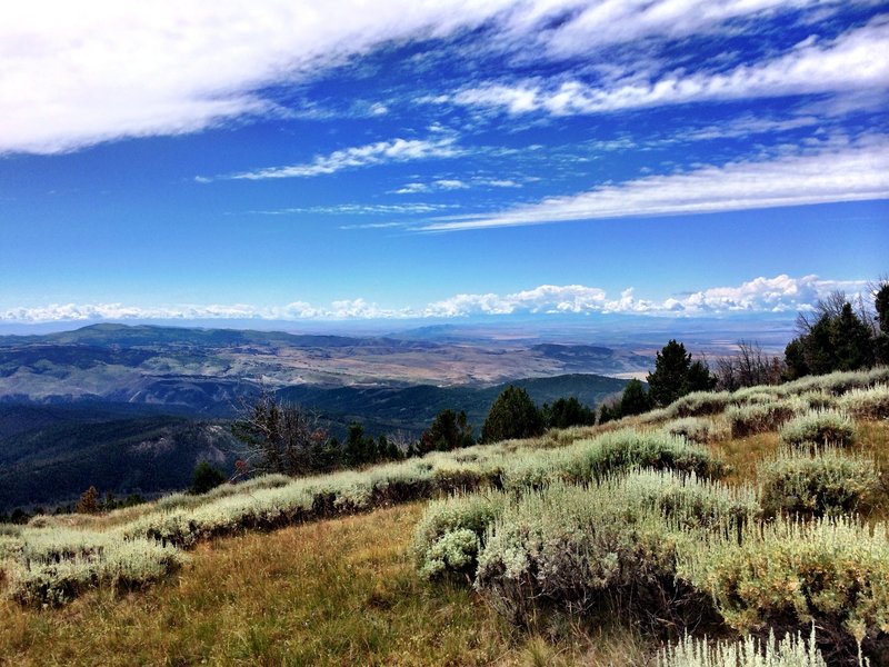 Sagebrush Steppe in the Big Belt Mountains