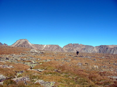 Alpine meadows