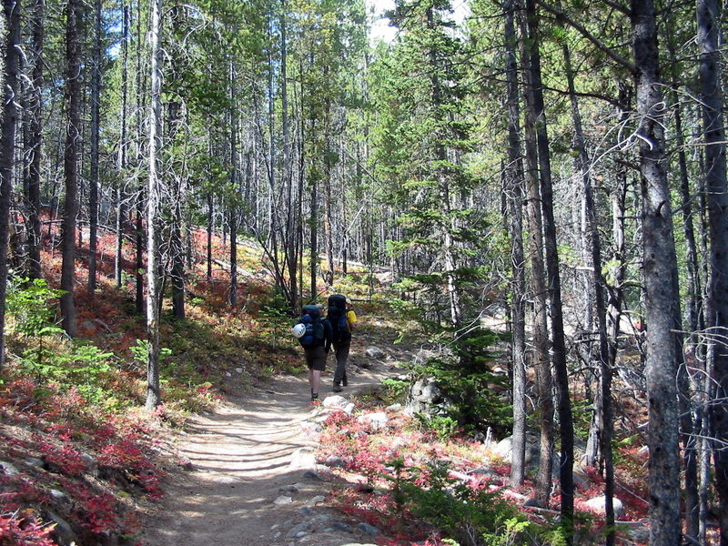 The best Hiking in and near Red Lodge, Montana