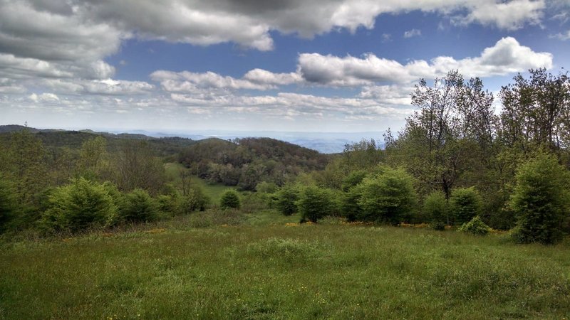 View near the summit of Rich Mountain.