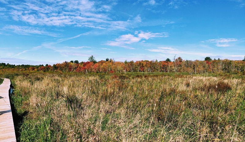 Fall colors along the trail