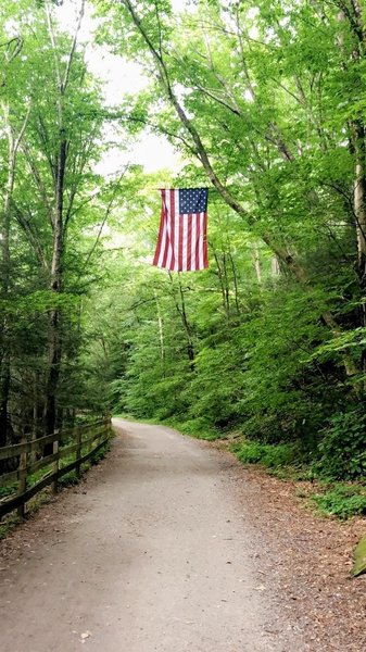 American flag over the trail