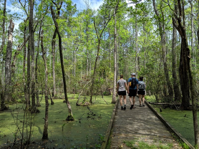 Boardwalk